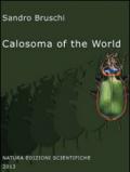 Calosoma of the world (Coleoptera, Carabidae)