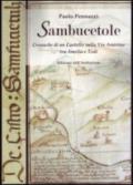 Sambucetole. Cronache di un castello sulla via Amerina tra Amelia e Todi. Con CD-ROM