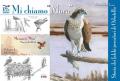 Mi chiamo «Mora». Storia dei falchi pescatori di Orbetello
