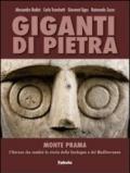 Giganti di pietra. Monte Prama. L'Heroon che cambia la storia della Sardegna e del Mediterraneo