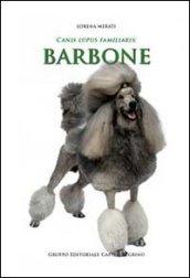 Barbone