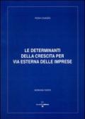 Le determinanti della crescita per via esterna delle imprese