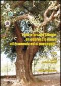 L'ulivo. Oro del Cilento. Un approccio nuovo all'economia ed al paesaggio. Atti del Convegno (Giungano, 9 maggio 2008)