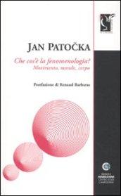 Che cos'è la fenomenologia. Movimento, mondo, corpo