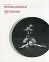 Lo sguardo di Michelangelo. Antonioni e le arti