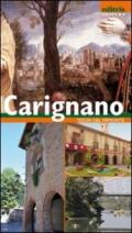 Guida-ritratto della città di Carignano