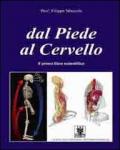 Dal piede al cervello