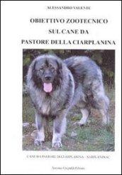 Obiettivo zootecnico sul cane da pastore della Ciarplanina. Cane da pastore della Ciarplanina. Sarplaninac