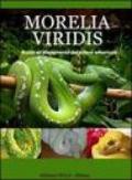 Morelia Viridis. Guida all'allevamento del pitone verde