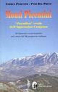 Monti picentini. «Paradiso» verde dell'Appennino campano. 50 itinerari escursionistici nel cuore del Mezzogiorno italiano