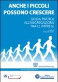 Anche i piccoli possono crescere. Guida pratica all'aggregazione tra le imprese