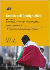 Codice dell'immigrazione