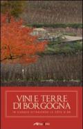 Vini e terre di Borgogna