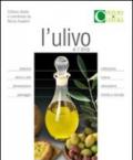 L'ulivo e l'olio