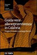 Guida vera alla sopravvivenza in Calabria. Viaggio fra sindaci e paesaggi distrutti