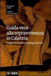 Guida vera alla sopravvivenza in Calabria. Viaggio fra sindaci e paesaggi distrutti