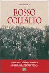 Rosso Collalto (1918-1924). Storie di vita, di miseria e di morte intorno alla vicenda Collalto, al termine della grande guerra