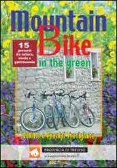 The mountain bike in the green: 2