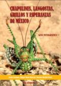 Chapulines, langostas, grillos y esperanzas de Mexico-Grasshoppers, locusts, crickets and katydids of Mexico