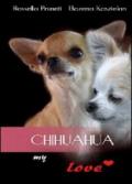 Chihuahua my love