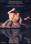 Voluptas dolendi. I gesti del Caravaggio. Ediz. italiana e inglese. Con DVD