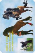 Corso completo di doma e addestramento cavalli. Con DVD. Con e-book