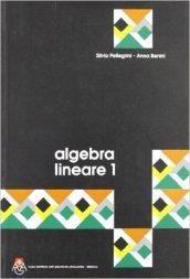 Algebra lineare: 1