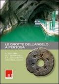 Le grotte dell'angelo a Pertosa. Il sistema sotterraneo e il giacimento archeologico