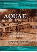 Aquae. La gestione dell'acqua oltre l'unità d'Italia nella pianura emiliana