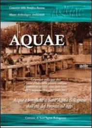 Aquae. La gestione dell'acqua oltre l'unità d'Italia nella pianura emiliana