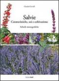 Salvie. Caratteristiche, usi e coltivazione