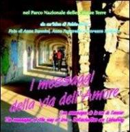 I messaggi della via dell'amore. Ediz. multilingue