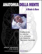 Anatomia della mente. A brain is born