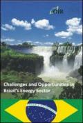 Challenges and opportunities in Brazil's. Renewable energy sector