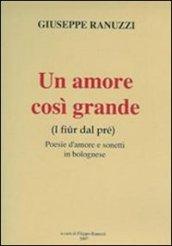 Un amore così grande. I fiur dal pré