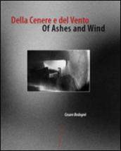 Della cenere e del vento