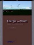 Energia del vento. Tecnica, normativa, ambiente e mercato