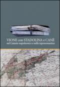 Vione con Stadolina e Canè nel catasto napoleonico e nella toponomastica. Con mappa dei toponimi. Con CD-ROM