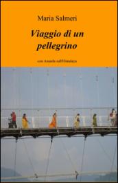 Viaggio di un pellegrino