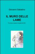 Il muro delle lame