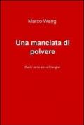 Una manciata di polvere