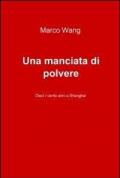 Una manciata di polvere