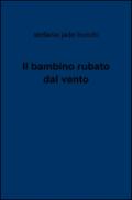 Il bambino rubato dal vento