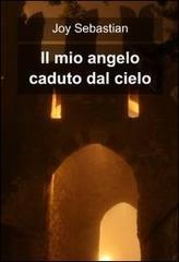 Il mio angelo caduto dal cielo