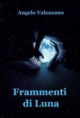 Frammenti di luna