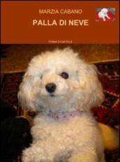 Palla di neve