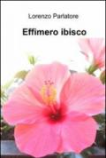 Effimero ibisco