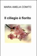 Il ciliegio è fiorito