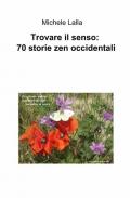 Trovare il senso: 70 storie zen occidentali