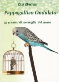 Pappagallino ondulato: 35 grammi di meraviglia del Creato